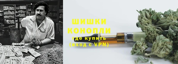 трава Наволоки