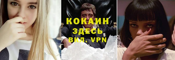 трава Наволоки