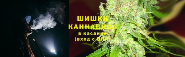 трава Наволоки