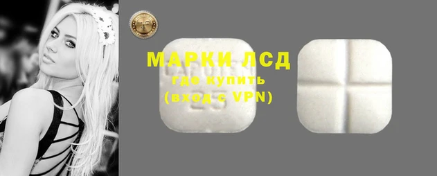 трава Наволоки