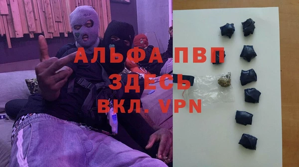 индика Новочеркасск