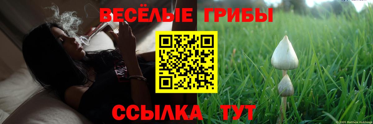 Псилоцибиновые грибы мухоморы Железногорск